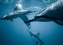 开云体育-广东男篮将为易建联举办退役仪式&amp;退役9号球衣